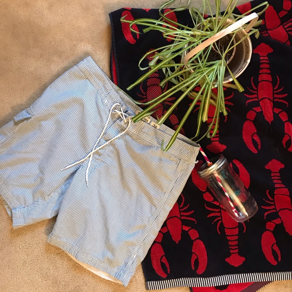 J. Crew Baby Blue/White Swimsuit